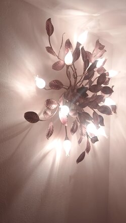 img_20260725_172530995