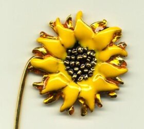 girasole particolare.jpeg girasole particolare.jpeg