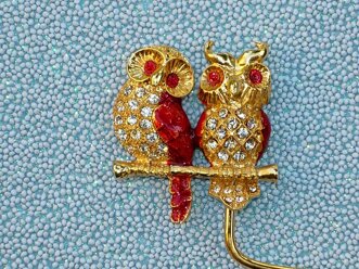 gufocivetta particolare.jpeg gufocivetta particolare.jpeg