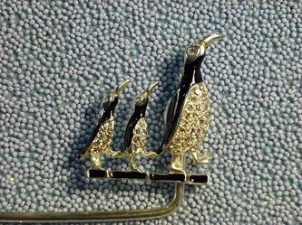 pinguini particolare.jpeg pinguini particolare.jpeg