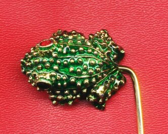 frog g particolare.jpeg frog g particolare.jpeg