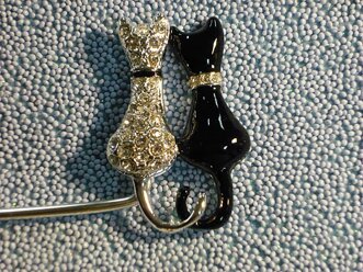 mici bianconeri particolare.jpeg mici bianconeri particolare.jpeg