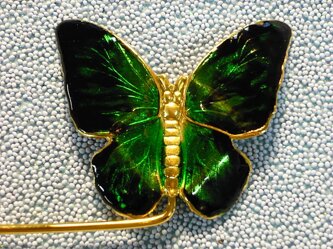 butterfly verde particolare.jpeg butterfly verde particolare.jpeg