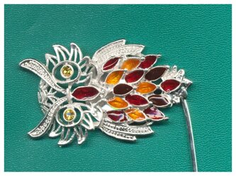 bruna particolare.jpeg bruna particolare.jpeg