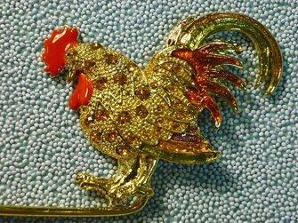 gallo particolare.jpeg gallo particolare.jpeg