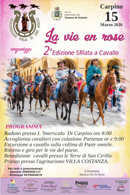 locandina la vie en rose.jpeg