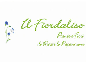 trombetta%20pneumatici trombetta%20pneumatici