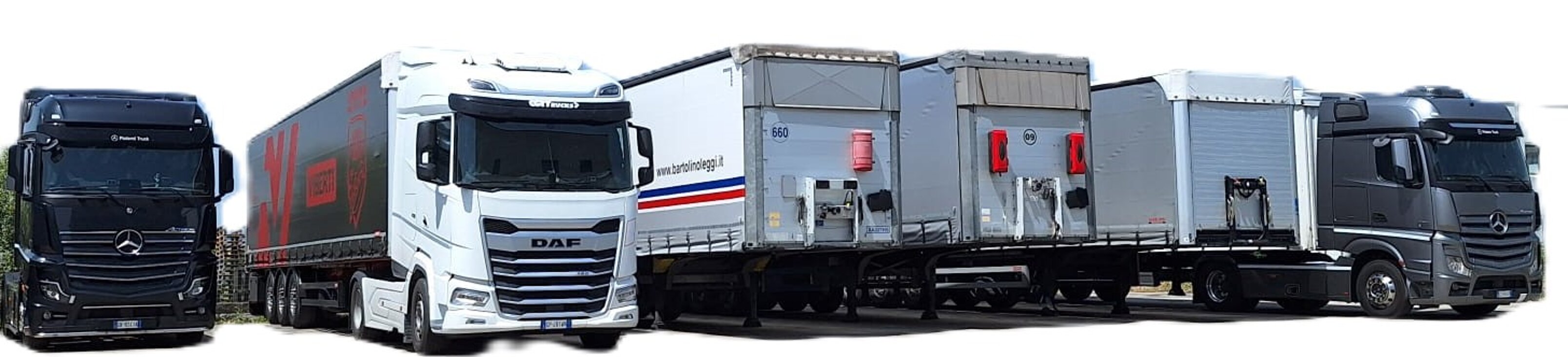 immagine whatsapp 2024-07-18 ore 16.43.16_84336a6a (1).jpeg