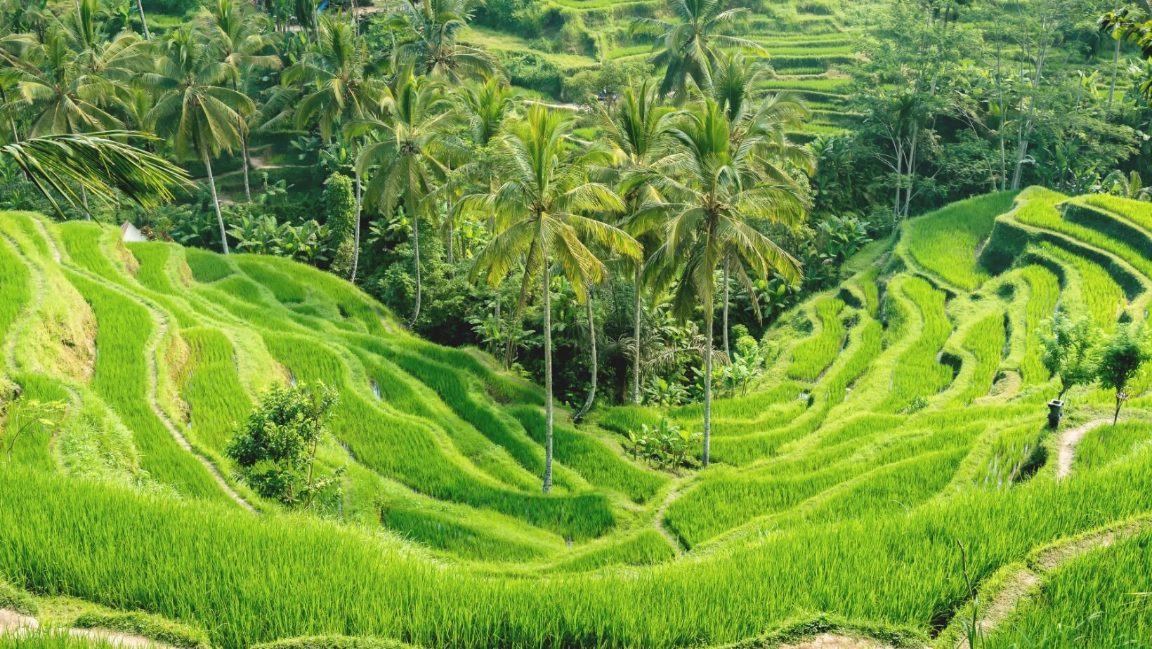 Truly slow travel through a Bali itinerary