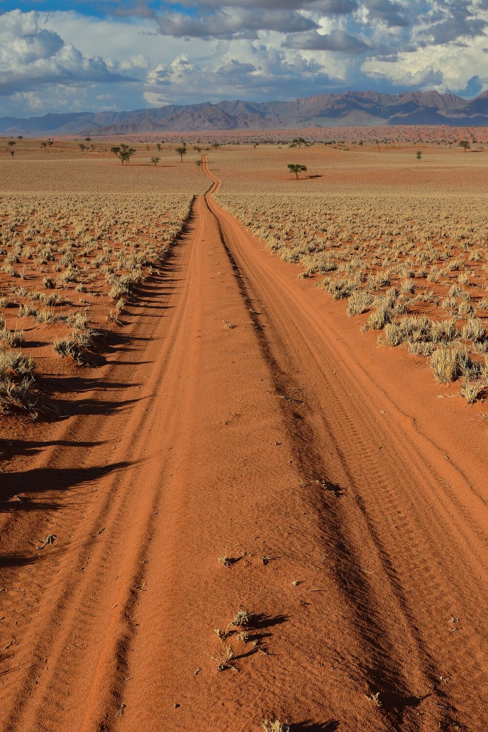 namibia.jpeg