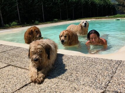 img-20240809-wa0042.jpeg img-20240809-wa0042.jpeg