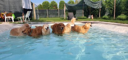 20200811_183618.jpeg 20200811_183618.jpeg