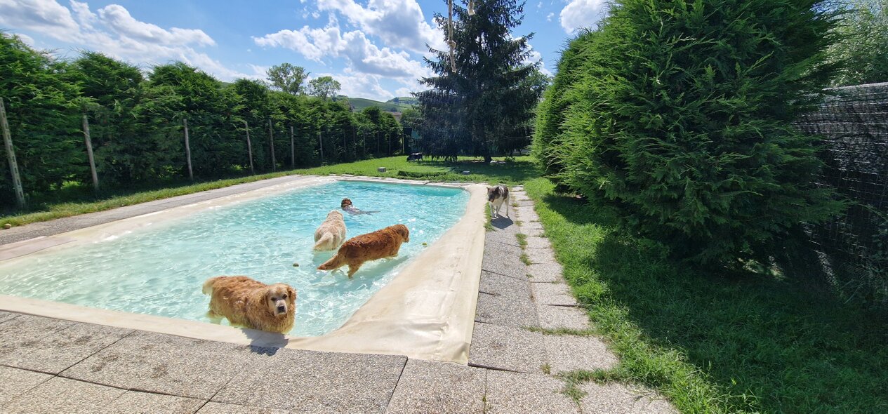 20240616_162729.jpeg 20240616_162729.jpeg