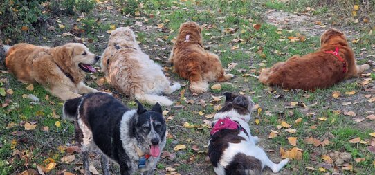 20221007_122442.jpeg 20221007_122442.jpeg