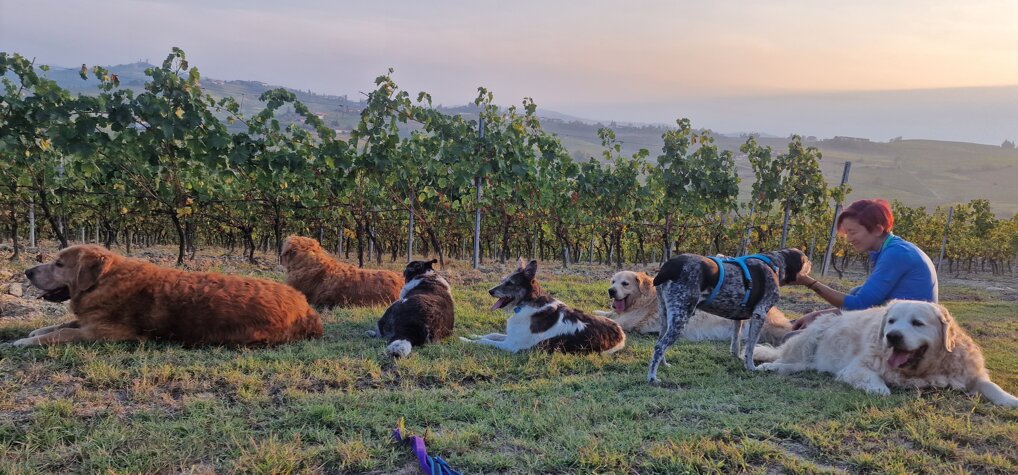 20221004_181640.jpeg 20221004_181640.jpeg