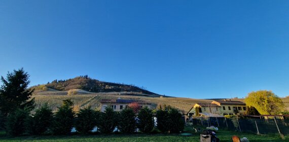 psx_20210228_014420.jpeg psx_20210228_014420.jpeg