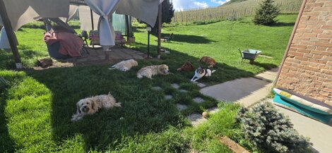 20250418_163825.jpeg 20250418_163825.jpeg