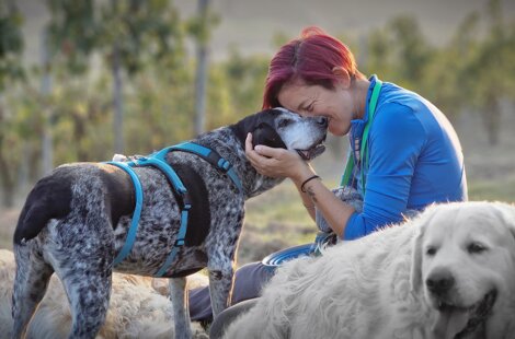 20221004_181305.jpeg 20221004_181305.jpeg