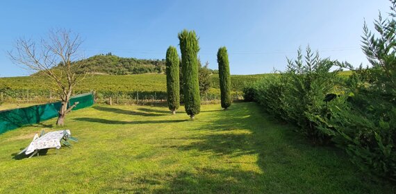 psx_20210228_014259.jpeg psx_20210228_014259.jpeg