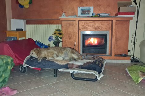 20221220_130703.jpeg 20221220_130703.jpeg