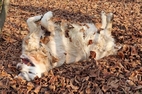 img-20200914-wa0012 - copia.jpeg img-20200914-wa0012 - copia.jpeg