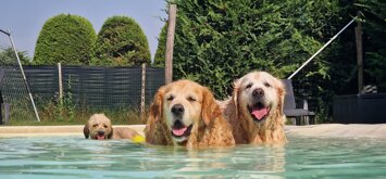 20240730_165508.jpeg 20240730_165508.jpeg