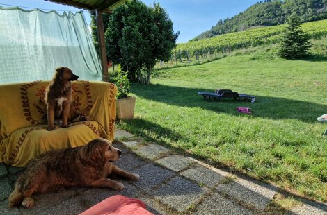 20230108_165219.jpeg 20230108_165219.jpeg