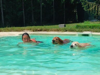 img-20240809-wa0060.jpeg img-20240809-wa0060.jpeg