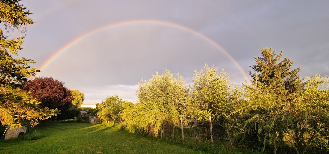 20240701_203642.jpeg 20240701_203642.jpeg