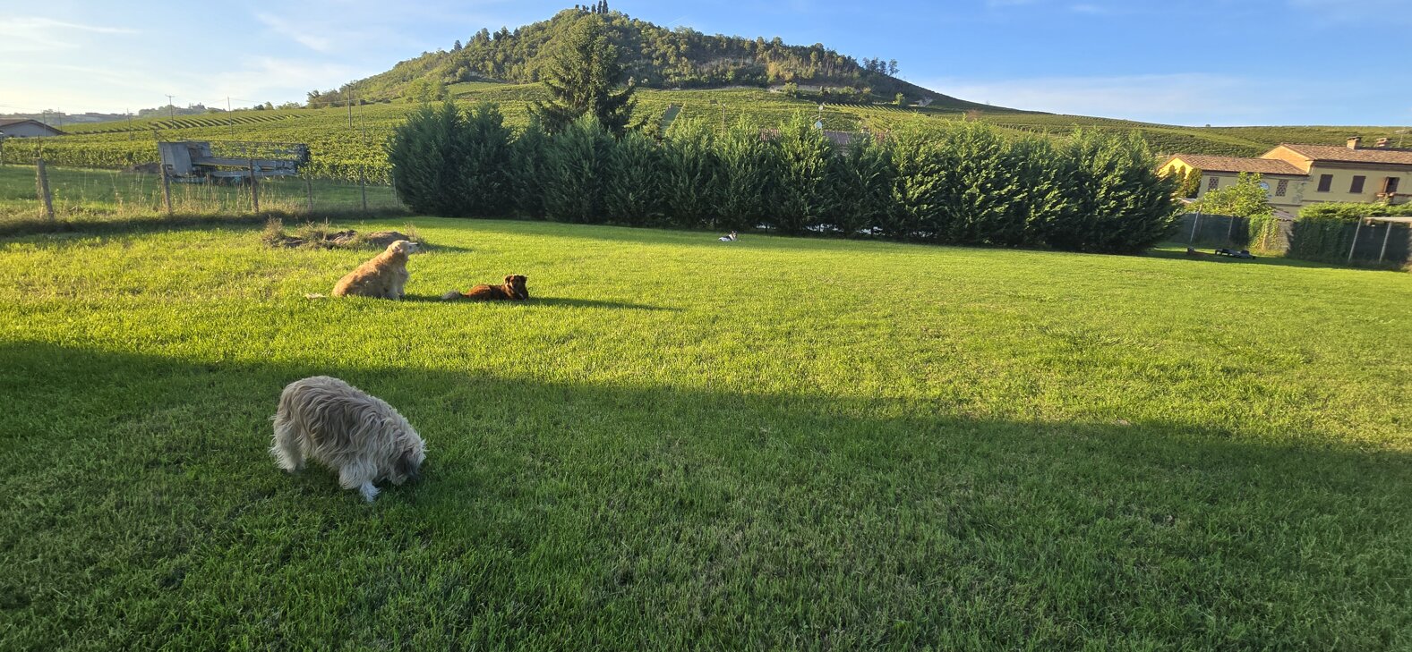 20250906_185242.jpeg 20250906_185242.jpeg