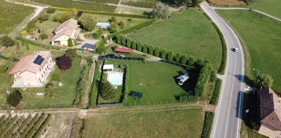 img-20210314-wa0021%20-%20copia.jpeg img-20210314-wa0021%20-%20copia.jpeg