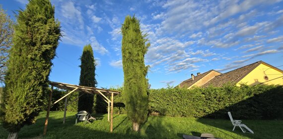 20250418_191029%20-%20copia.jpeg 20250418_191029%20-%20copia.jpeg