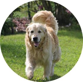 fb_img_1605080248963.jpeg fb_img_1605080248963.jpeg