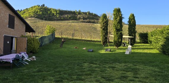 20250418_191807%20-%20copia.jpeg 20250418_191807%20-%20copia.jpeg