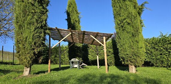 20240616_123203.jpeg 20240616_123203.jpeg