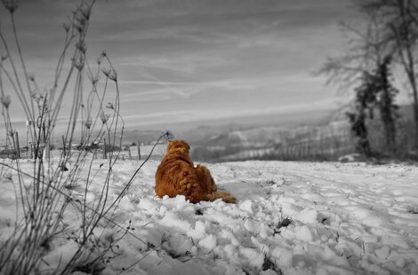 20221004_181656.jpeg 20221004_181656.jpeg