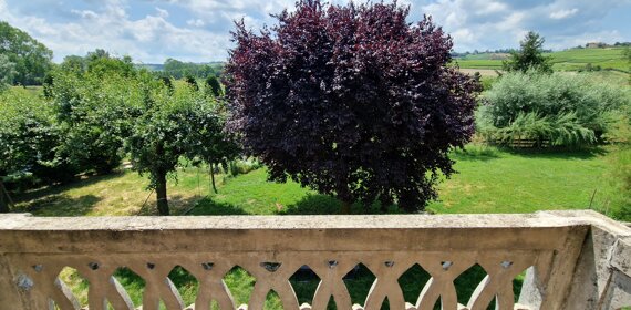 20250418_190951%20-%20copia.jpeg 20250418_190951%20-%20copia.jpeg