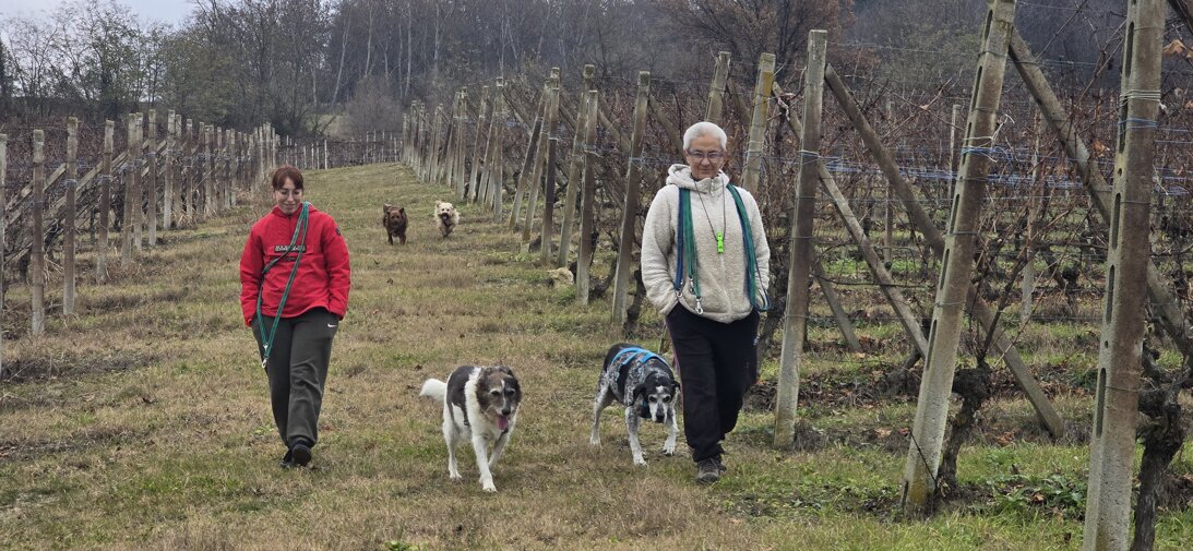 20241206_124100.jpeg 20241206_124100.jpeg