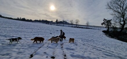 20221220_124642.jpeg 20221220_124642.jpeg