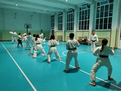 karate,kata,kumite,carmagnola