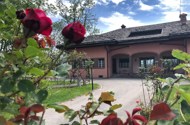 Villa Bonelli, B&B