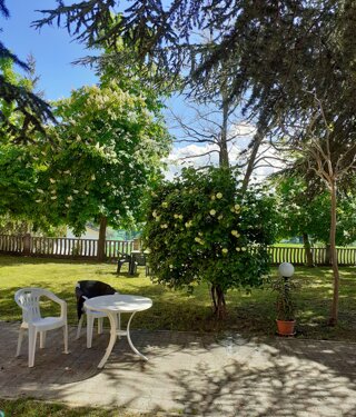 20200502_152133.jpeg 20200502_152133.jpeg