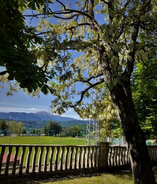 28380_196b65db3b7438527e6f28d0d42551a103886bc8 28380_196b65db3b7438527e6f28d0d42551a103886bc8