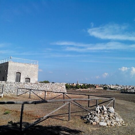 ulivo.jpeg ulivo.jpeg