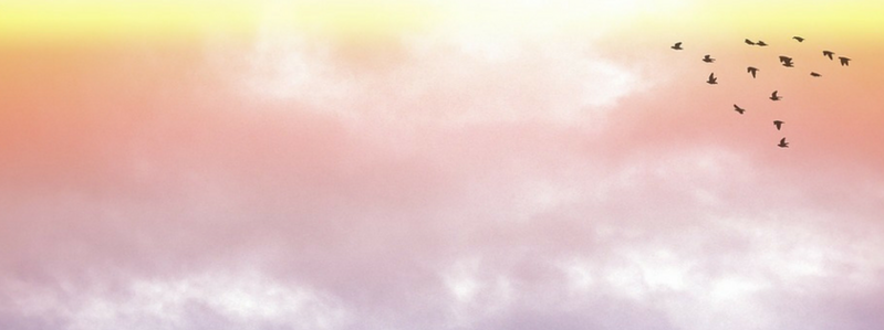 0ba7aa84-c3bc-4ddf-a137-74613274125f