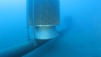 a6299475-139f-491a-abca-d51cd6a32d24