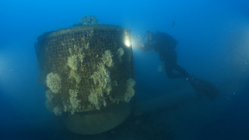 IL MUDS DI LAIGUEGLIA