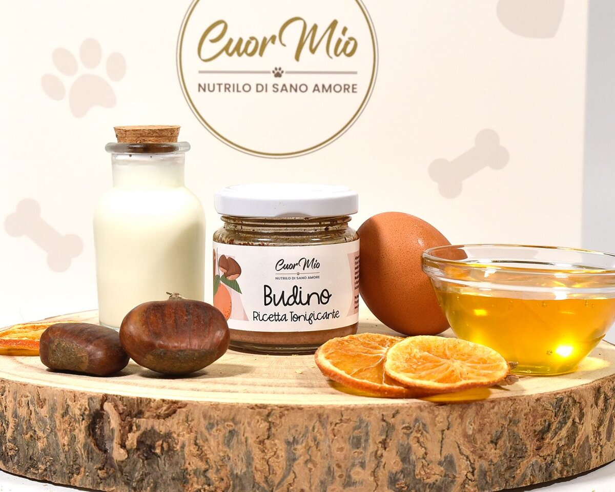 Budino tonificante Budino tonificante