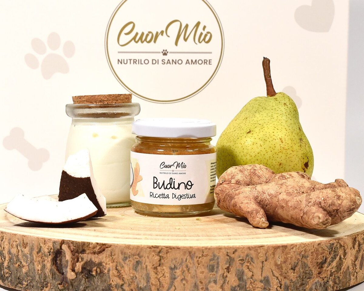 Budino digestivo Budino digestivo