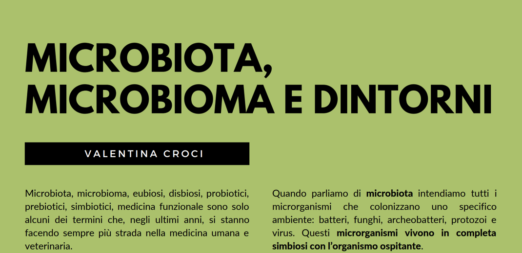 eaa0328c-d9c5-4bd0-a1d5-66415c5c22f2